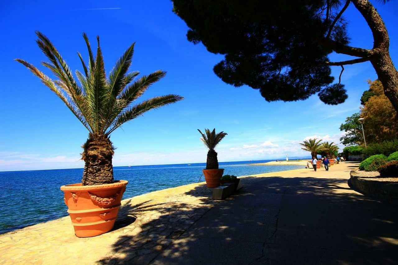 Cozy Apartments Buket In The Center Izola Εξωτερικό φωτογραφία